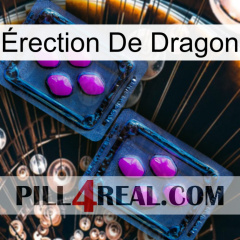 Érection De Dragon 03